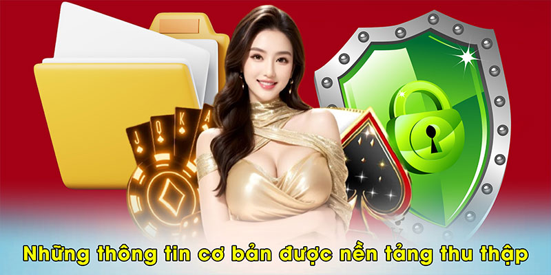 Những thông tin cơ bản được nền tảng thu thập